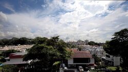 Raffles Park (D11), Detached #336414351